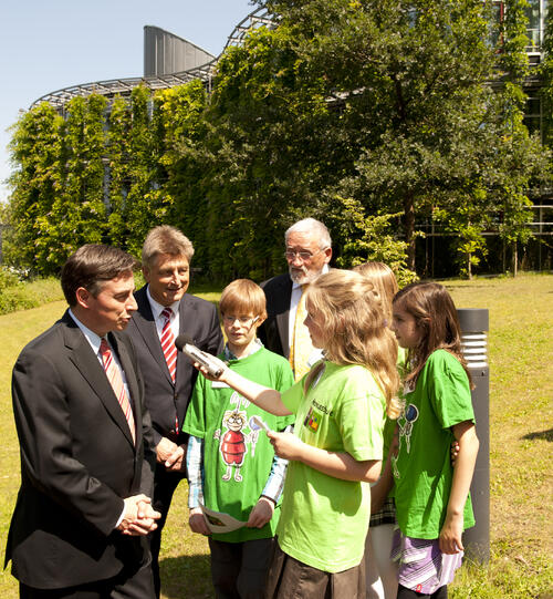 Funkflöhe/McAllister 