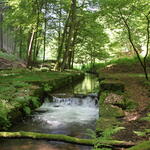 Sehen Sie selbst... &copy; Walter Rung