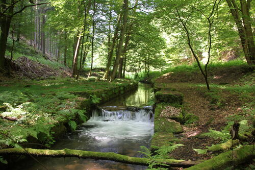 Sehen Sie selbst... &copy; Walter Rung