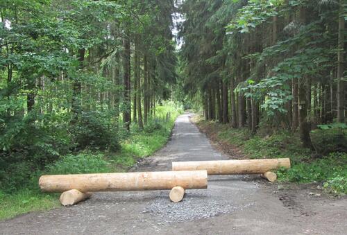 Badeteichweg DBU-Naturerbefläche Pöllwitzer Wald © Bundesforst/Zimmermann-Safar