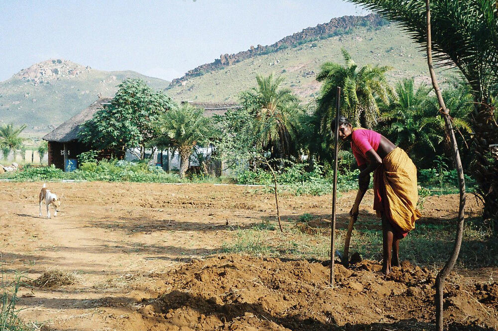 Indien &copy; terre des hommes/Foto: Heinz Wüppen
