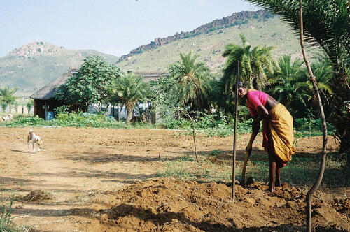 Indien &copy; terre des hommes/Foto: Heinz Wüppen