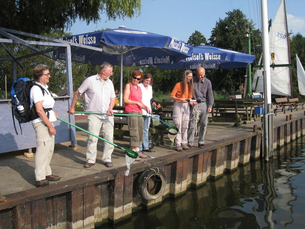 Dümmer See 10 Mio Schritte &copy; Taalke Nieberding