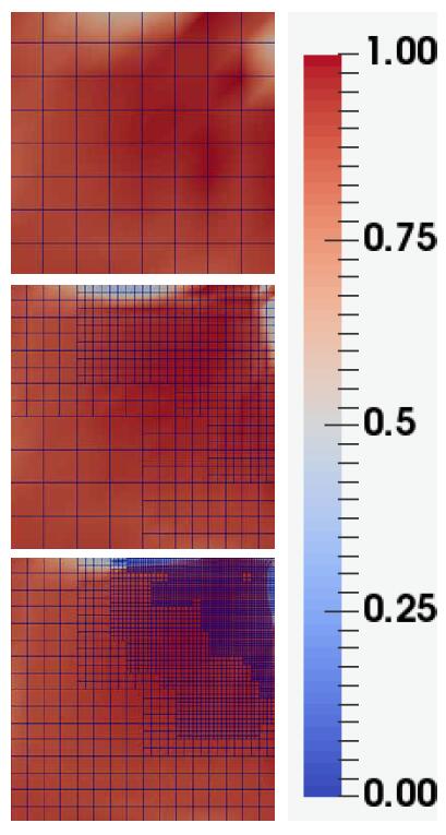 Meereiskonzentration, berechnet an einem idealisierten
Testbeispiel © Deutsche Bundesstiftung Umwelt