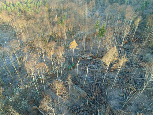 Harvester © Dr. Simon Thorn