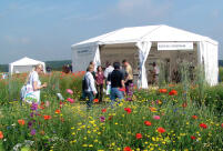 Ausstellung im Gruenen 