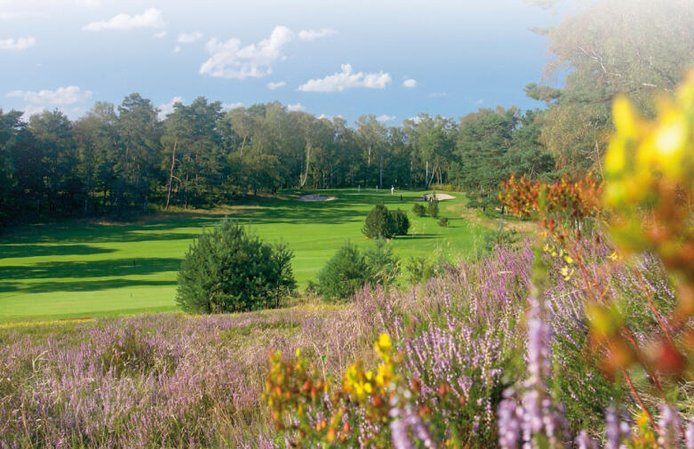Umweltoffensive auf dem Golfplatz 
