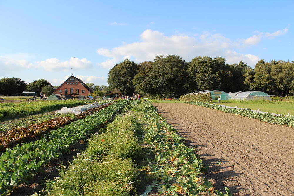 Hof Pente, Bramsche &copy; Hof Pente