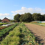 Hof Pente, Bramsche &copy; Hof Pente