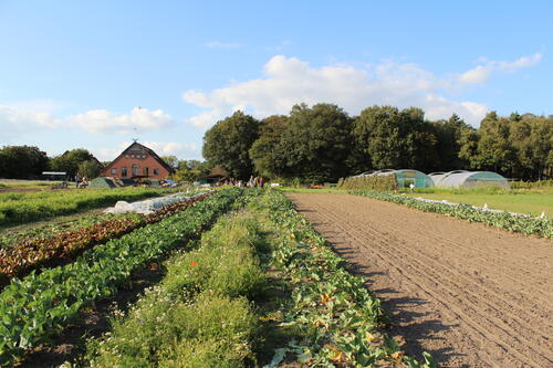 Hof Pente, Bramsche &copy; Hof Pente