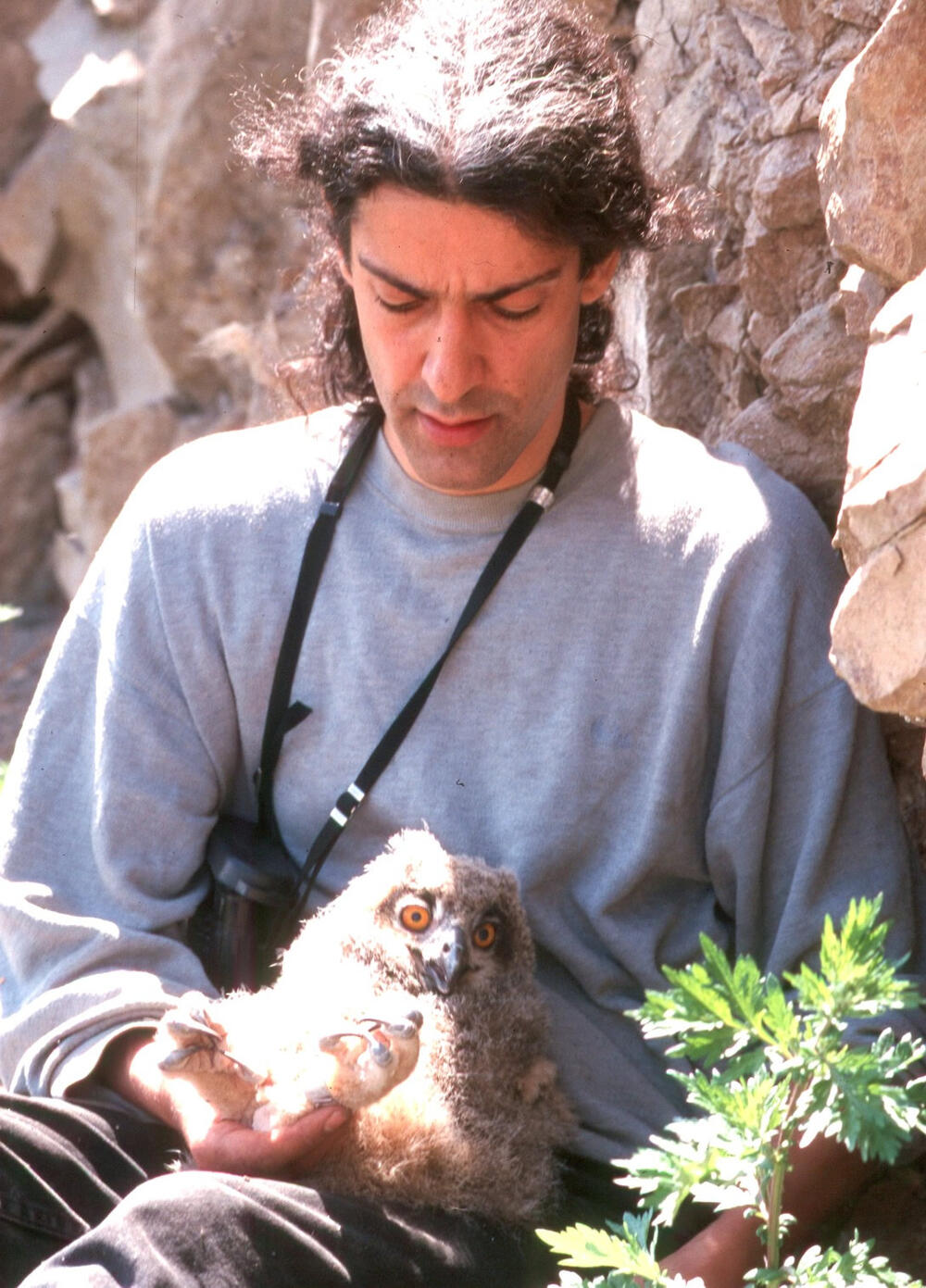 Brücher © EGE Eulen