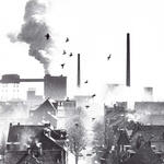 Plutostraße Wanne-Eickel &copy; Stiftung Naturschutzgeschichte