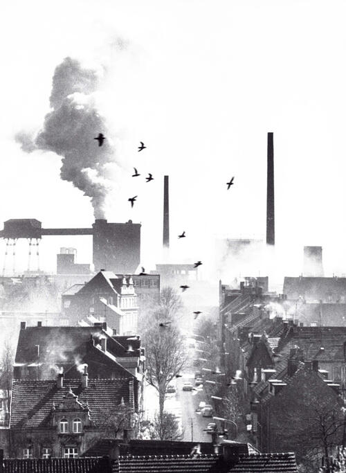 Plutostraße Wanne-Eickel &copy; Stiftung Naturschutzgeschichte