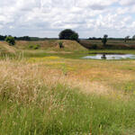 Herzogenberge © DBU/Belting