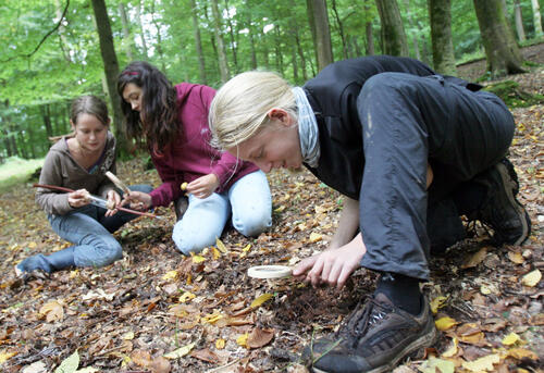 Lernlandschaften der Nachhaltigkeit &copy; NAJU Hessen