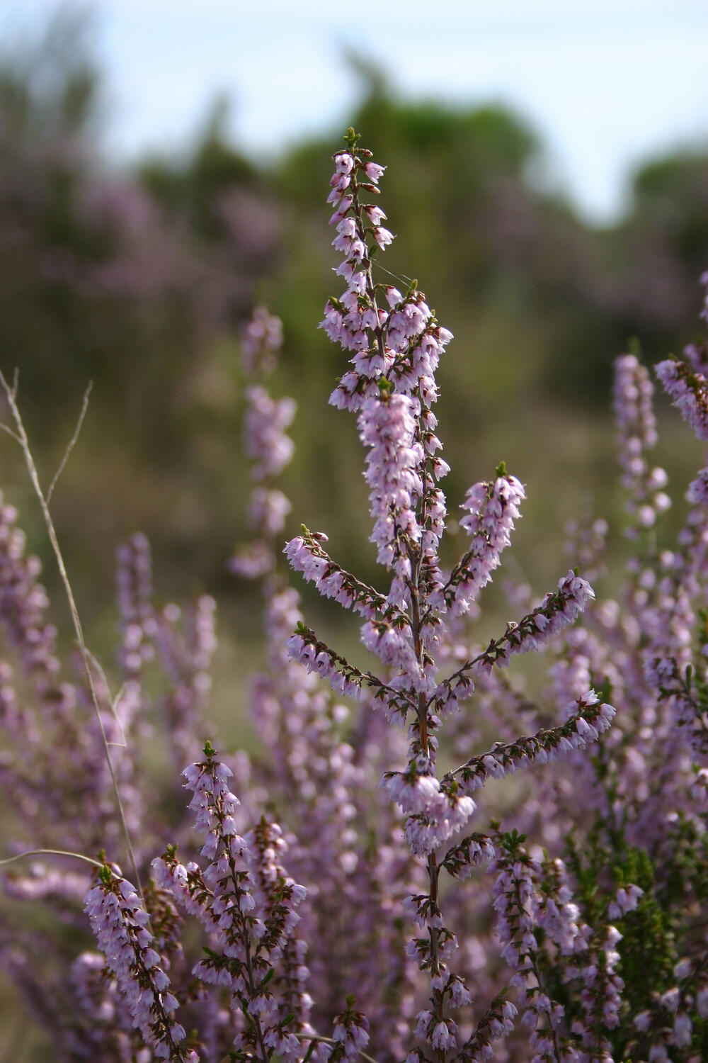 Lernlandschaften der Nachhaltigkeit &copy; Göde, Iris/piclease