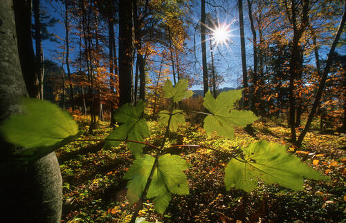 Lernlandschaften der Nachhaltigkeit &copy; von Känel, Ernst/piclease