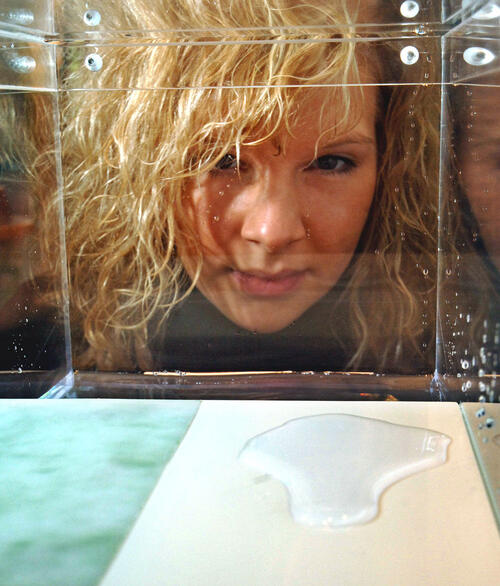 Wippe - Verbinden und Lösen. 