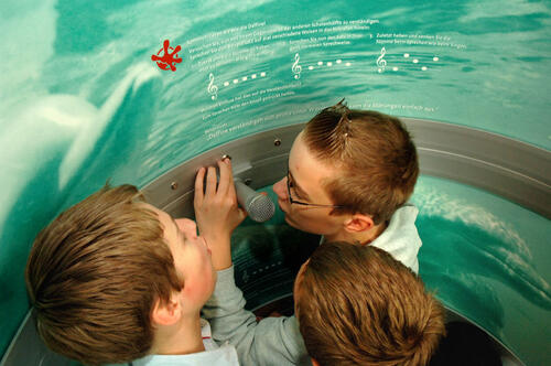 Delfintelefon - Erkennen und Kommunizieren. 