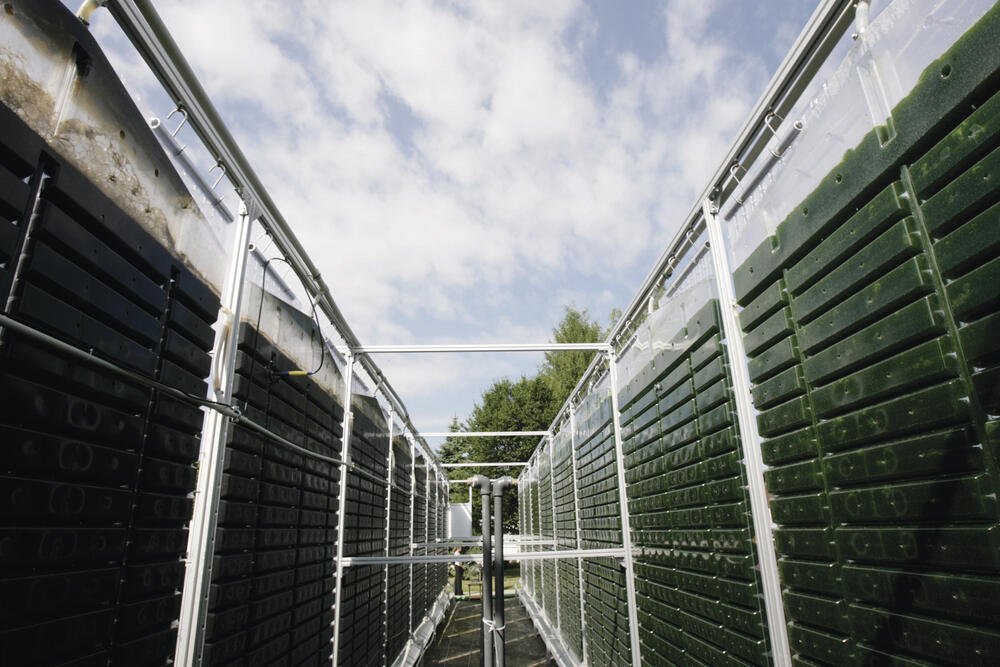 Pilotanlage der Subitec GmbH mit 180-Liter-Reaktormodulen im Freiland 