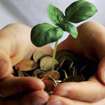 Nachhaltige Kapitalanlagen für Stiftungen: Aktuelle Entwicklungenund Bewertung 