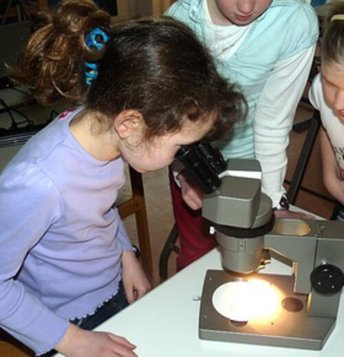 Giftzwerge final &copy; GS Wendelsheim