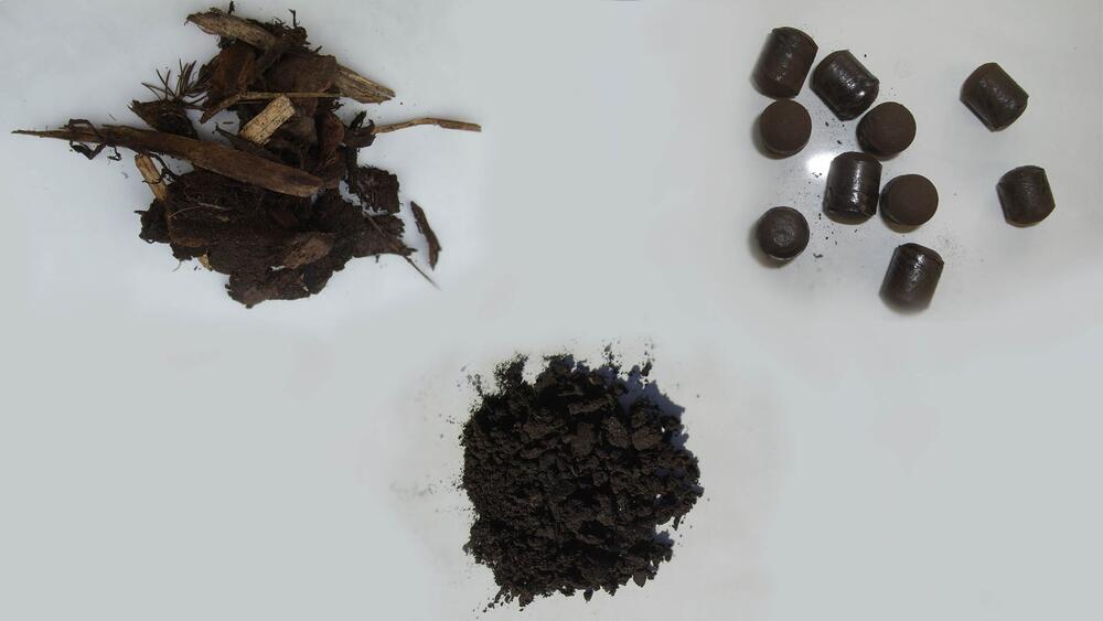 Pflanzenkohle aus Rinde 