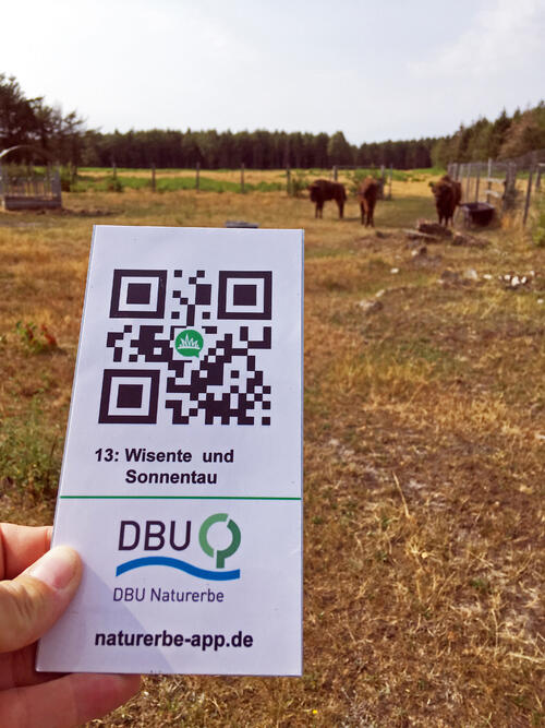 QR-Code © André Kopka/DBU