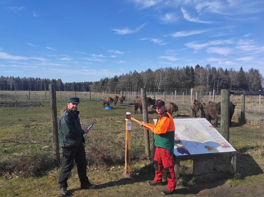Aufstellen QR-Code Schilder © Bundesforstbetrieb Niedersachsen