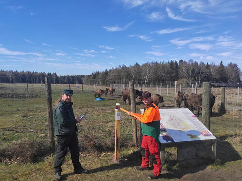 Aufstellen QR-Code Schilder © Bundesforstbetrieb Niedersachsen