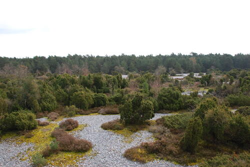 Nationales Naturerbe - Prora 
