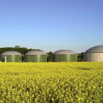 biogas plant 