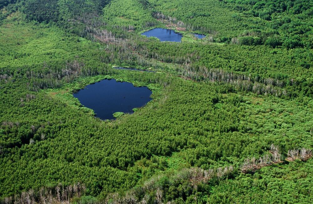 National Trust für Deutschland &copy; Norbert Rosing