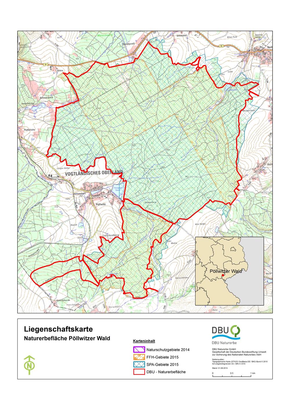 DBU-Naturerbefläche Pöllwitzer Wald © Deutsche Bundesstiftung Umwelt