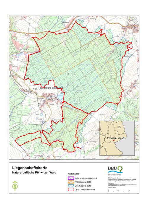 DBU-Naturerbefläche Pöllwitzer Wald © Deutsche Bundesstiftung Umwelt