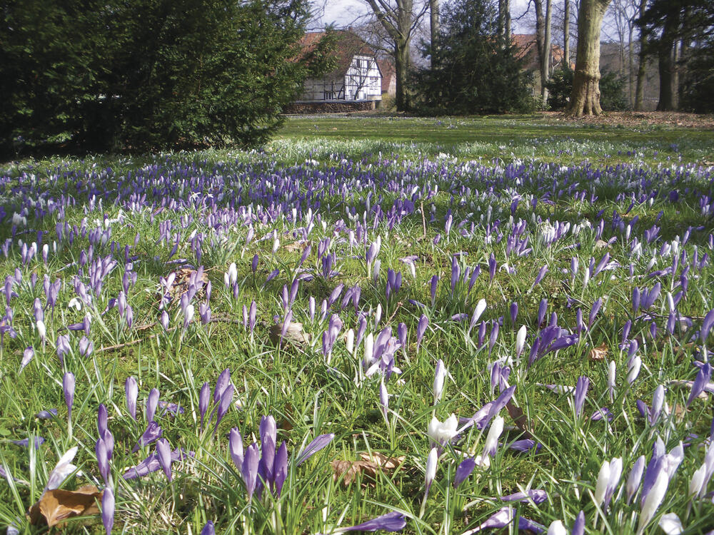Sehen Sie selbst... &copy; Gartennetz Deutschland