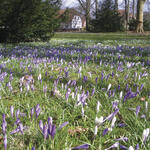 Sehen Sie selbst... &copy; Gartennetz Deutschland