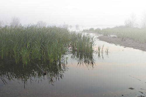 Ehemaliges Tagebaugebiet Goitzsche 