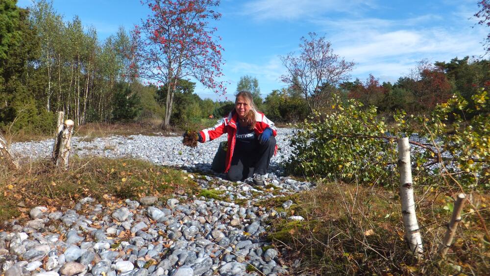 Sehen Sie selbst... © Bergwaldprojekt e. V. 