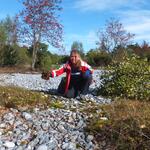 Sehen Sie selbst... © Bergwaldprojekt e. V. 