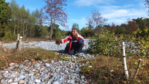 Sehen Sie selbst... © Bergwaldprojekt e. V. 