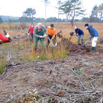 Bergwaldprojekt Cux © Bergwaldprojekt e.V.