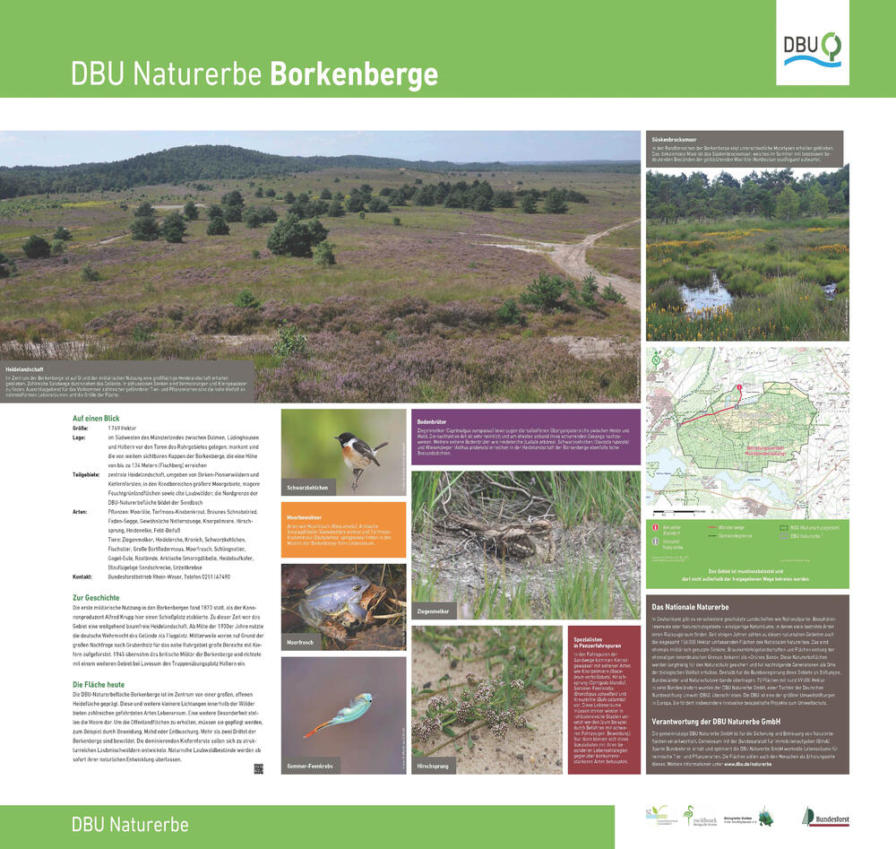 Infotafel Borkenberge © Deutsche Bundesstiftung Umwelt