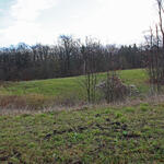 DBU-Naturerbefläche Drosselberg © Heike Culmsee/DBU 