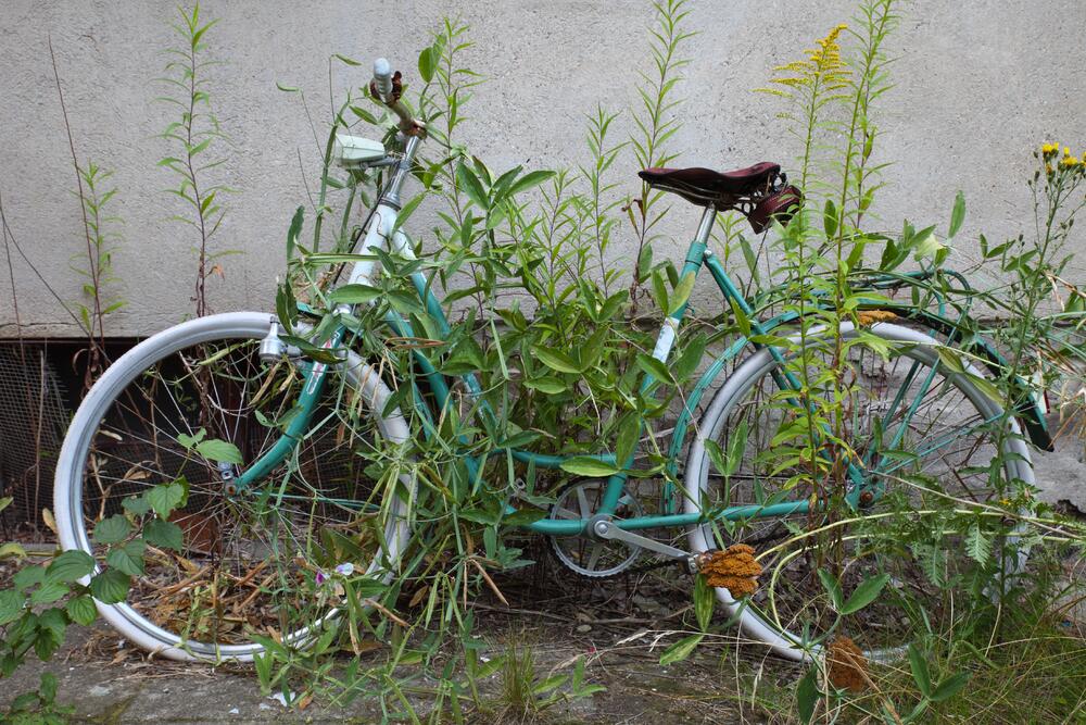 Fahrrad © Mirko Dreßler/piclease