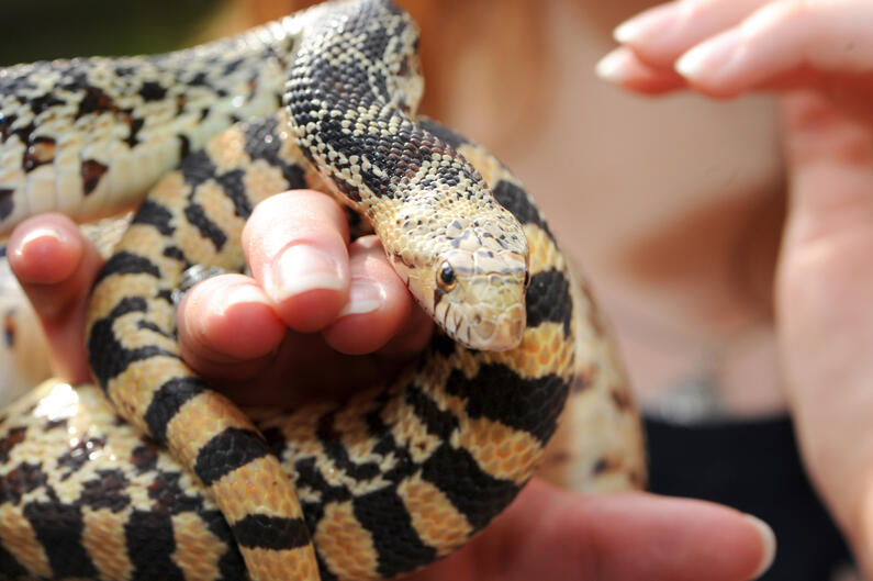 Jugendkongress 2011 © Peter Himsel/DBU