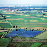 Moorschutz durch Rohrkolbenanbau 