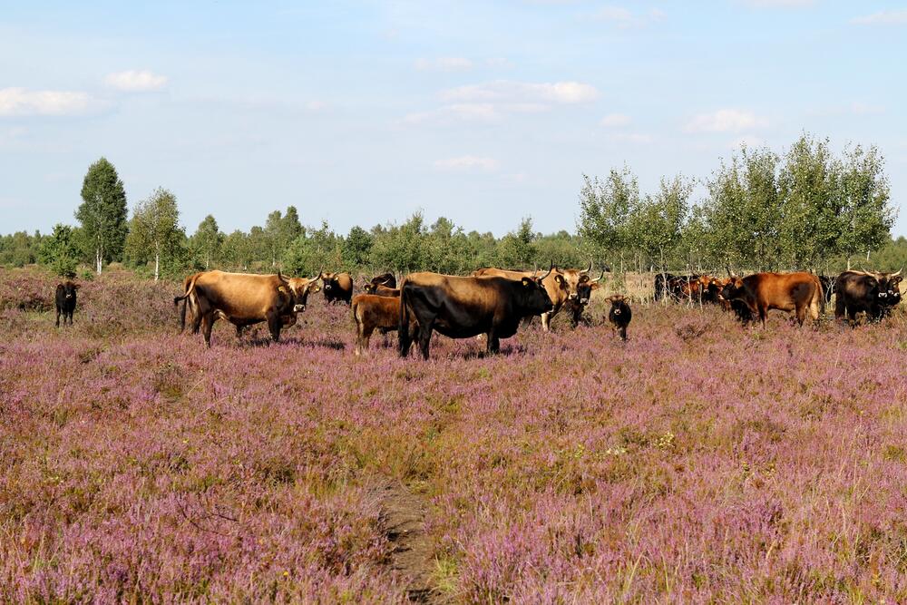 Sehen Sie selbst... © S.Tischew