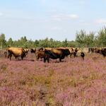 Sehen Sie selbst... © S.Tischew