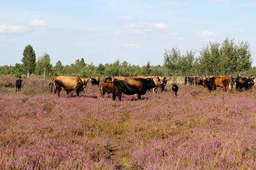 Sehen Sie selbst... © S.Tischew